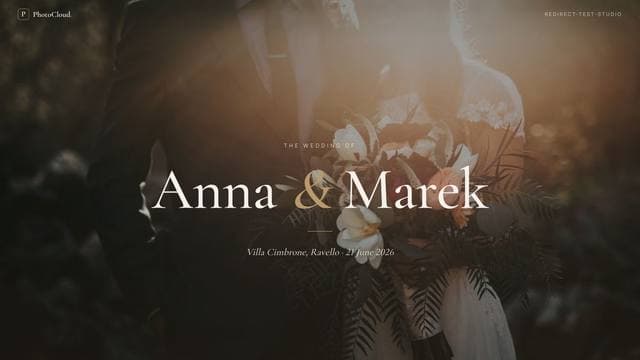 Preview of the Wedding gallery layout